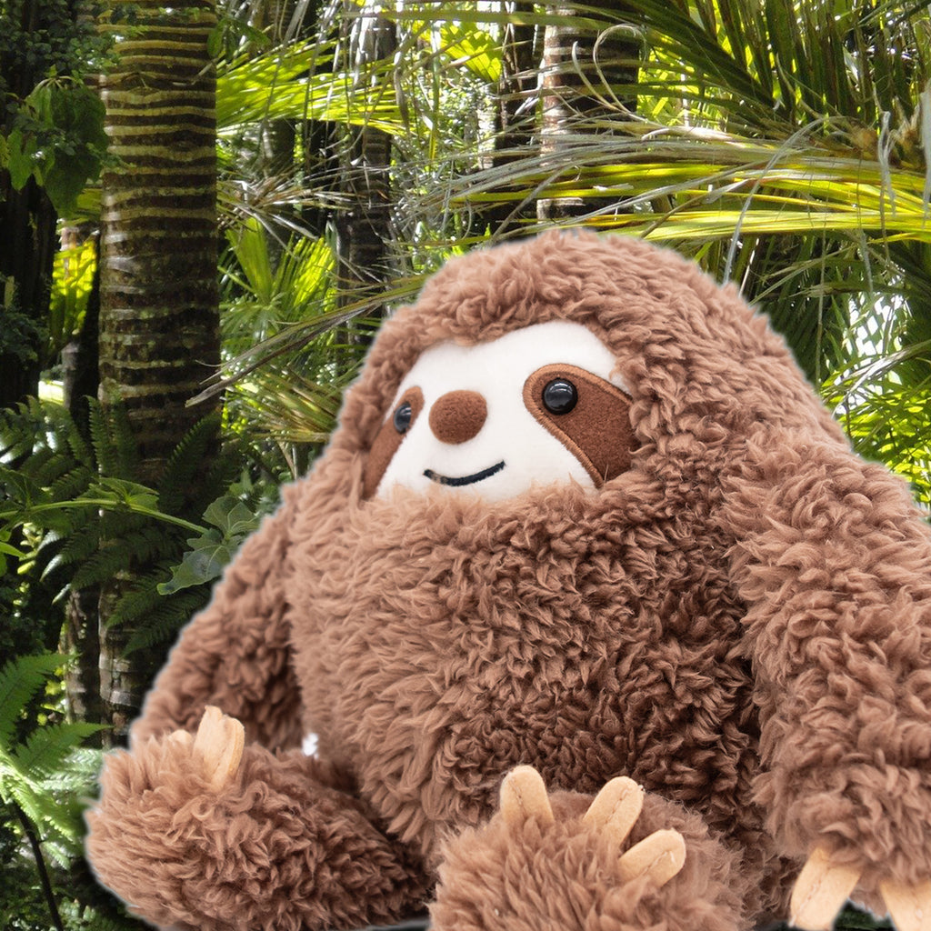 Sloths love tropical forests!
