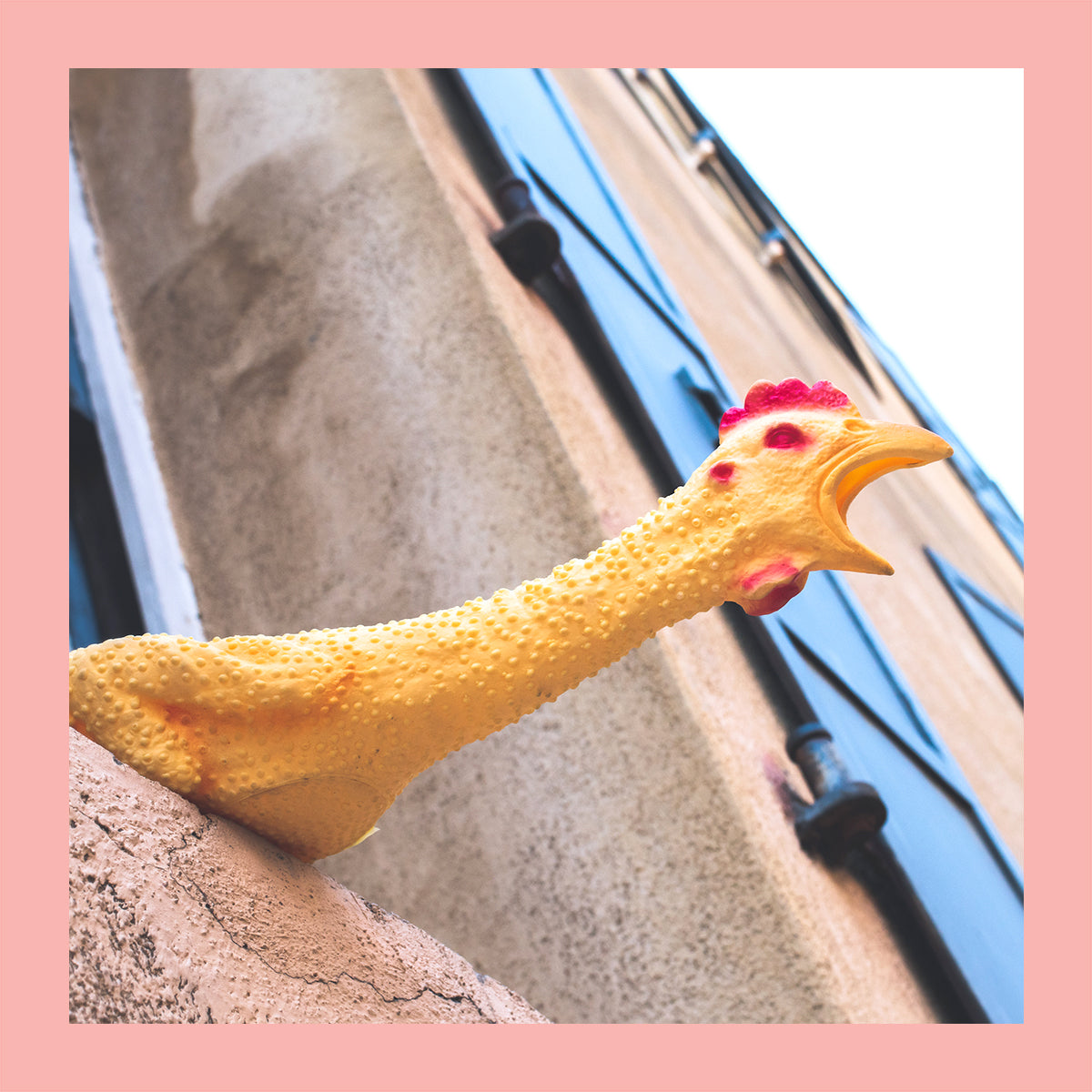 The World Famous Original Rubber Chicken – Evangeline's